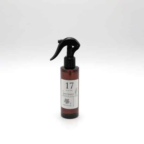 Spray d'ambiance aloe vera 17