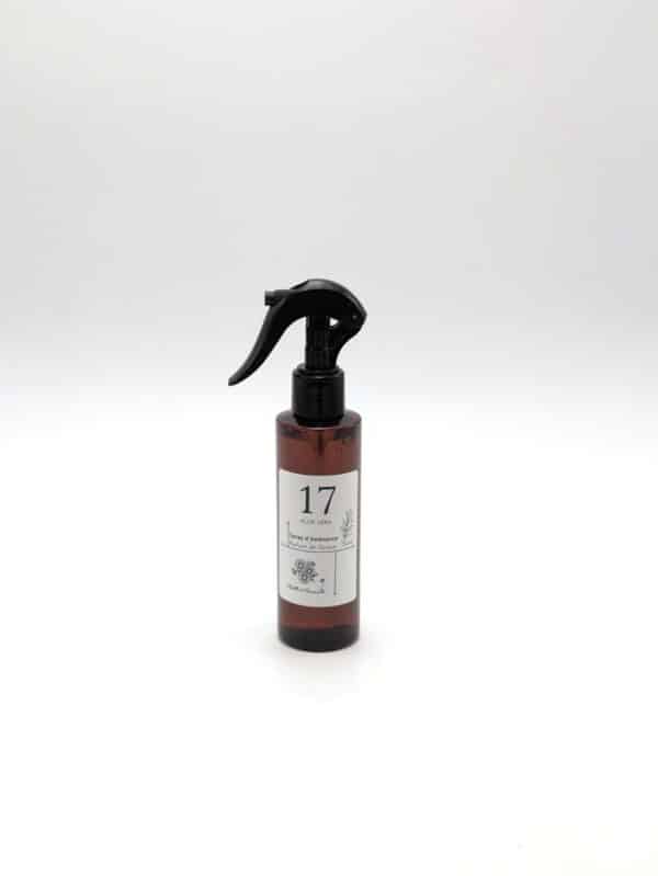Spray d'ambiance aloe vera 17