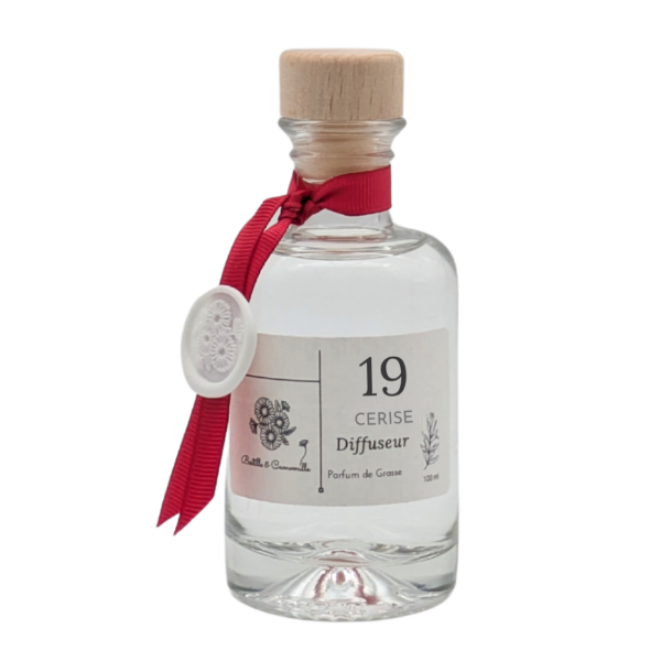 Diffuseur de Parfum 100 ml Cerise 19 - Rotin