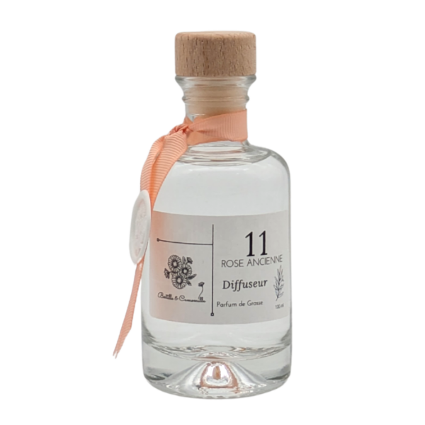 Diff Rose Ancienne