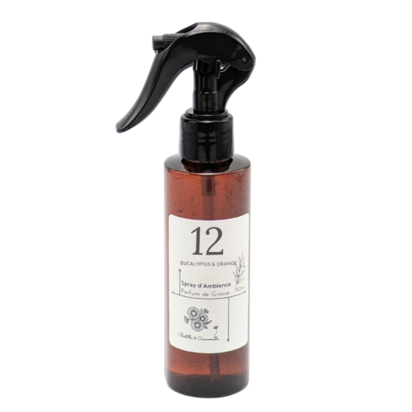 Spray d'Ambiance Eucalyptus & Orange 12